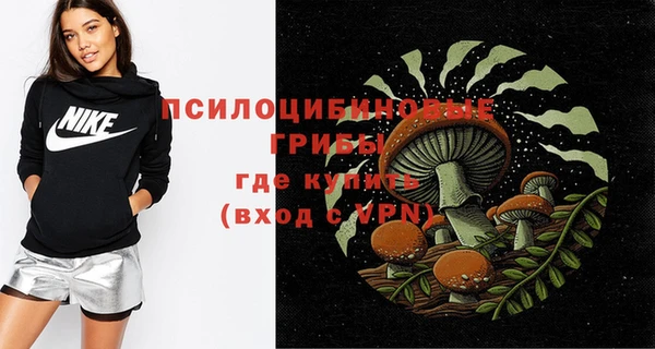 герыч Мегион