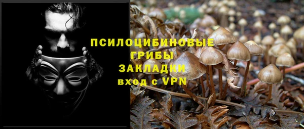 прущая мука Абдулино