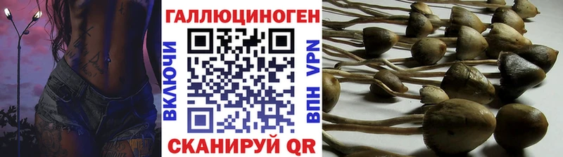 где продают наркотики Севастополь площадка формула Галлюциногенные грибы Psilocybe